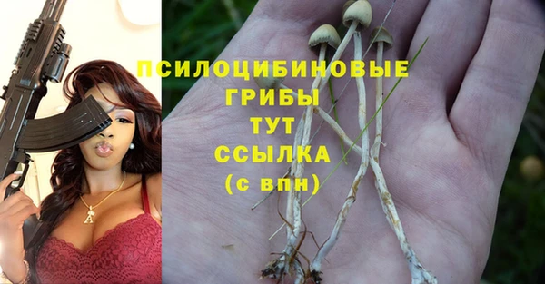 винт Тында