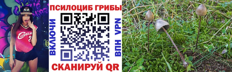 наркотики  Таганрог  мега вход  Галлюциногенные грибы GOLDEN TEACHER 