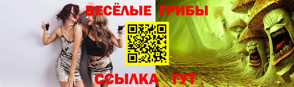 Псилоцибиновые грибы Cubensis  где можно купить наркотик  Таганрог  Вход с VPN 